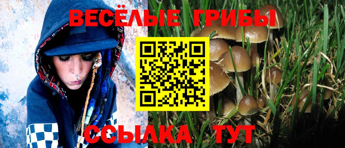 Галлюциногенные грибы мицелий Лабытнанги