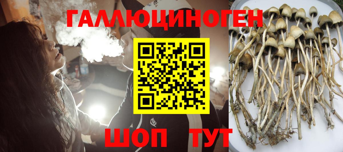 Лабытнанги  Галлюциногенные грибы Psilocybe  Вход с VPN 